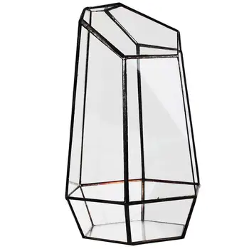 Домашна оранжерия, шестоъгълен стъклена ваза за такса, Миниатюрна градина с мини-пейзаж Изображение