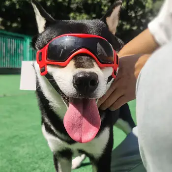 Страхотни слънчеви очила за кучета, които привличат вниманието на Очила за домашни любимци, Регулируема защита от uv Декор за очила за кучета на открито Изображение